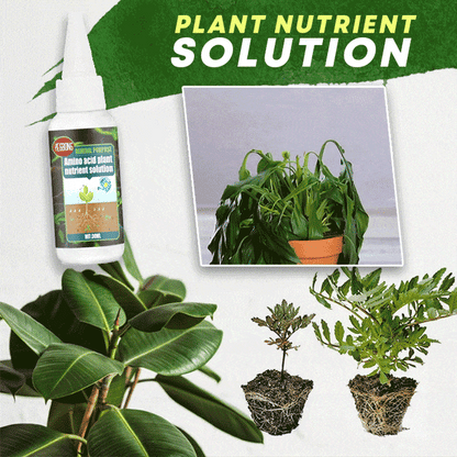 🔥 Roztwór odżywczy dla roślin – tchnie nowe życie w zwiędłe rośliny 🌱✨