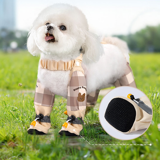 🐕Spodnie przeciwpyłowe dla psów do użytku na zewnątrz🐾