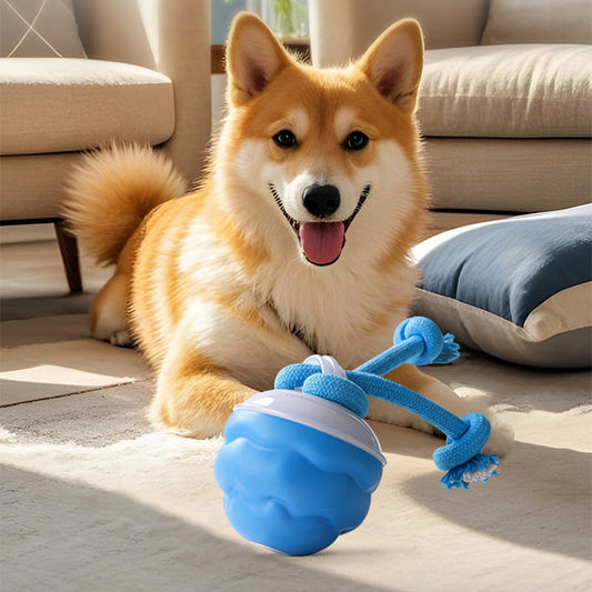 🔥🐶 Interaktywna elektroniczna piłka uspokajająca dla zwierząt domowych